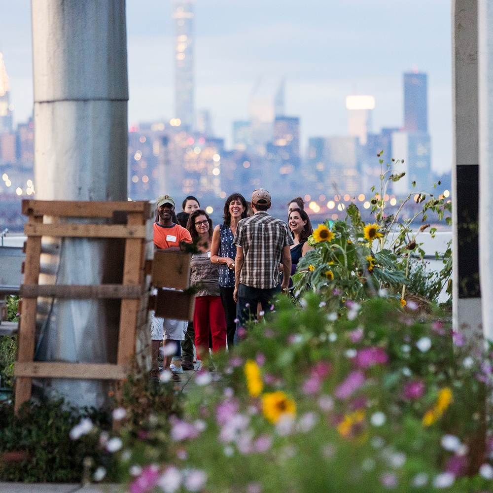 nyu community gathering with view of NYC skyline