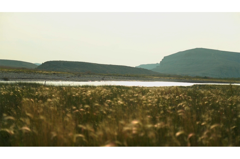 Wheat field with water and mountains in the distance