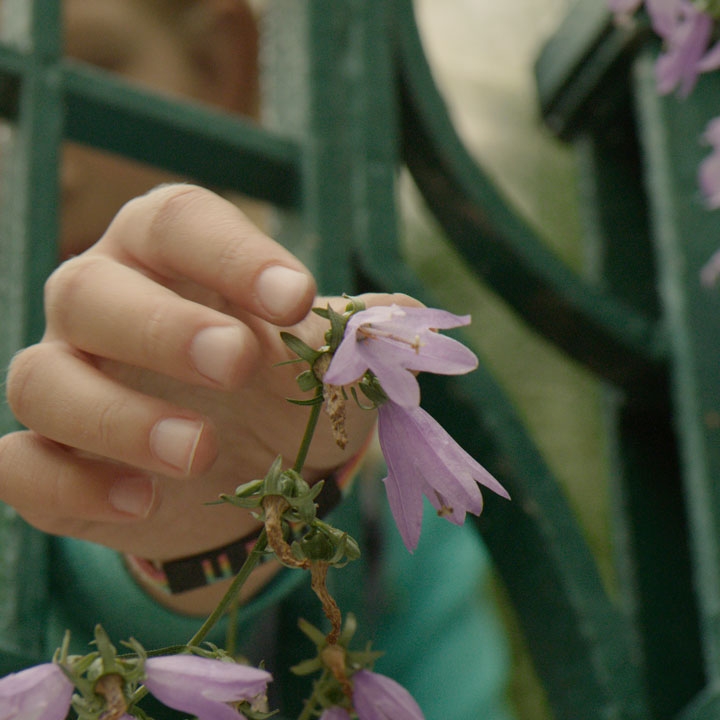 still frame of child holding a flower through an iron gate.