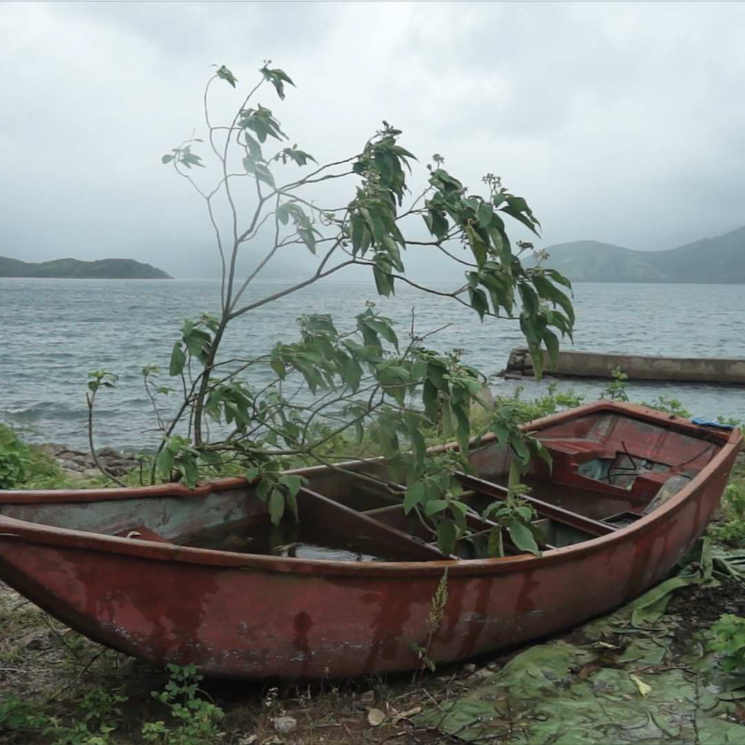 Boat moored on land with a tree bending over into it