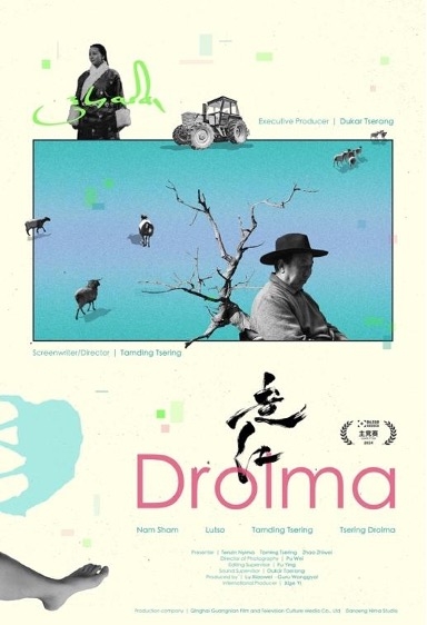 Drolma 走红 