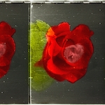 A film strip with five frames of hand-colored red roses