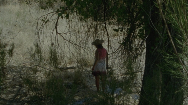 A person standing outside back toward the camera and in shadow, further obscured by bare branches of a tree.