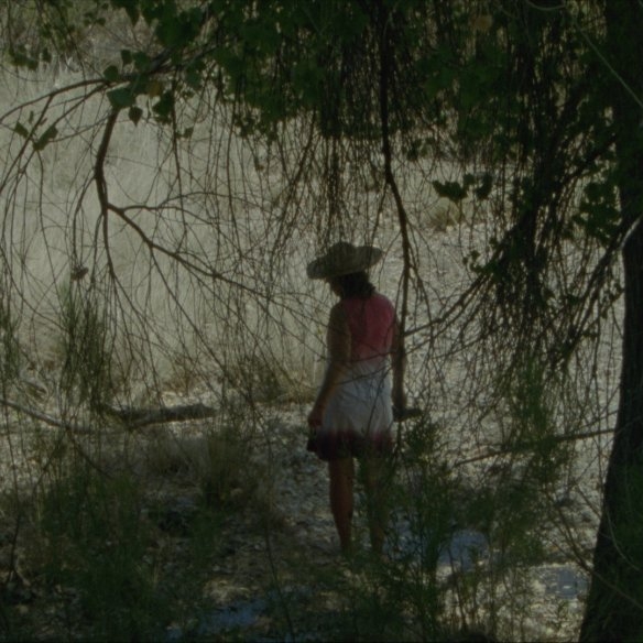 A figure stands amidst overgrown trees and grasses.