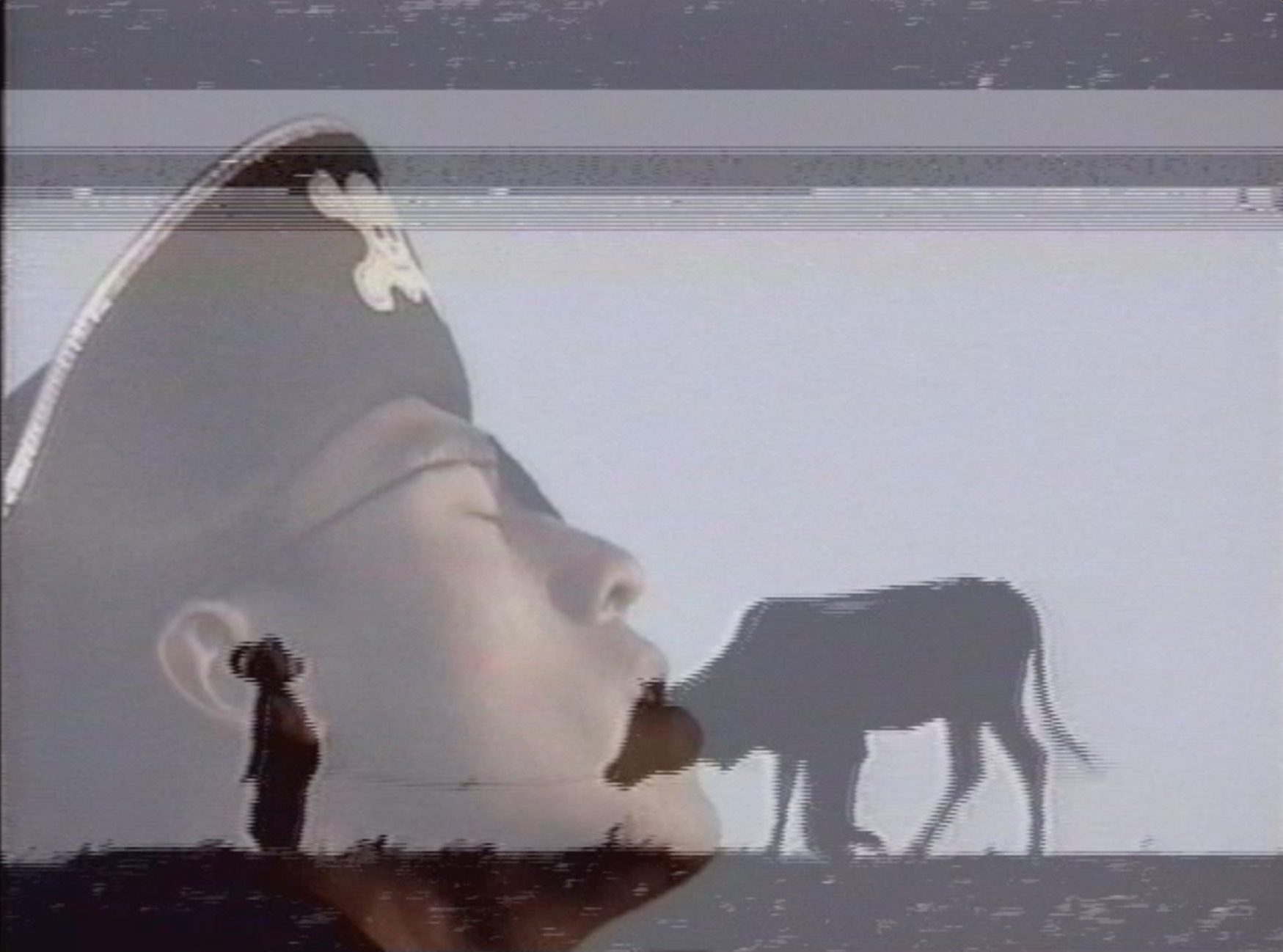 Mans face behind a silhouette of a cow and a boy