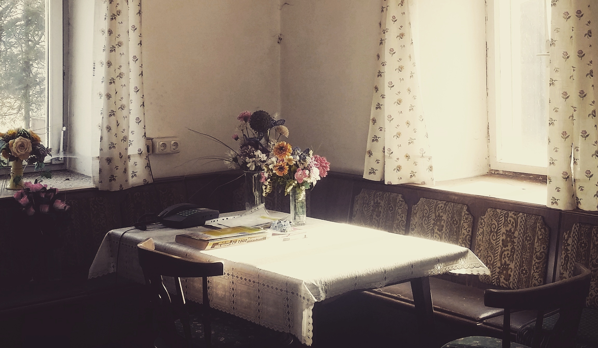 An image of a sun-drenched kitchen table.