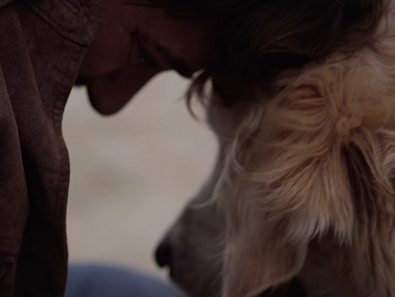 Film still from Vincent. Image of man and dog forehead to forehead hugging.. 