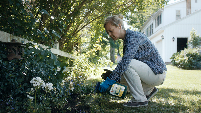 Film Still: Lobelia