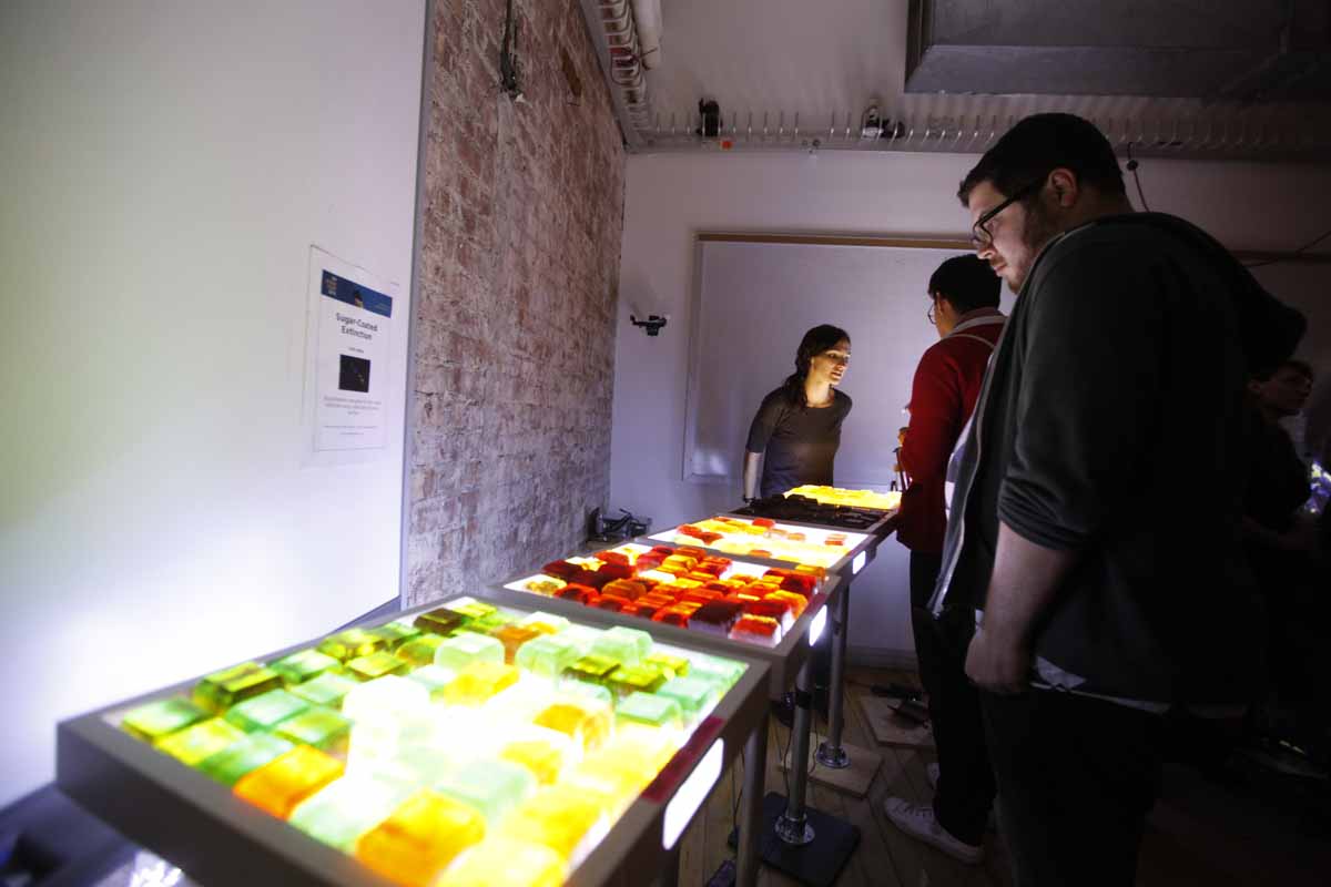 a lightbed showing dozens of glowing cubes