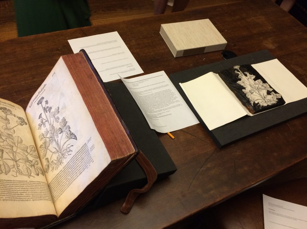 Books spread out on a table