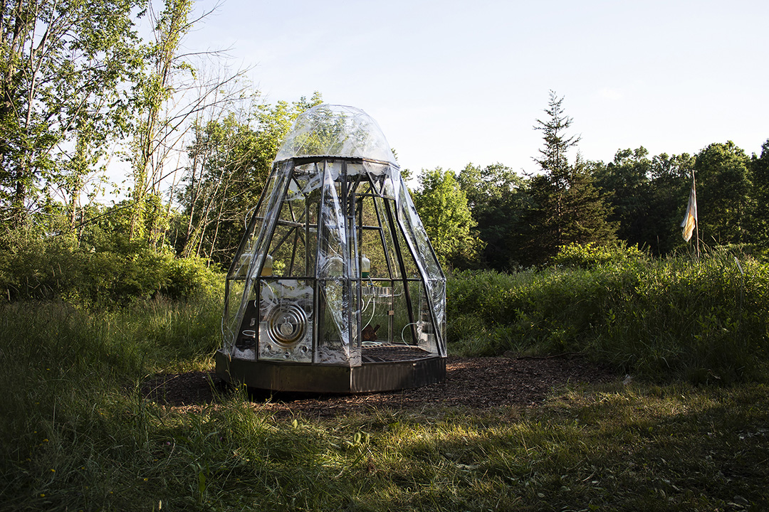 Greenhouse laboratory in the woods