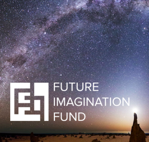 Future Imagaination Fund Logo