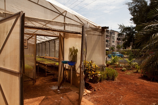 Canvas greenhouse in Havana, Cuba.